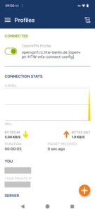 OpenVPN Successfully Connected