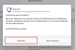 Netzwerkverbindungsfenster