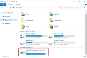 Explorerfenster mit Netzlaufwerk