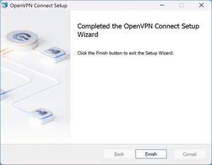Setup Window of OpenVPN Completion