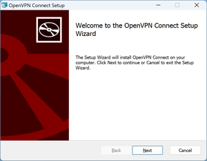 Setup Window of OpenVPN