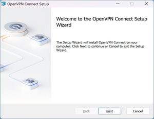 Setup Window of OpenVPN