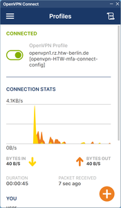 OpenVPN Successfully Connected