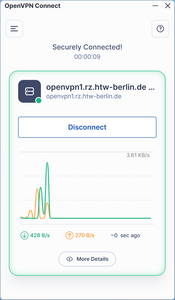 OpenVPN Successfully Connected