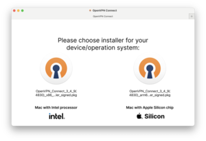 OpenVPN Setup Processor Selection