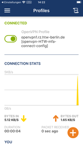 OpenVPN Successfully Connected