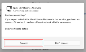 Network Connection Window