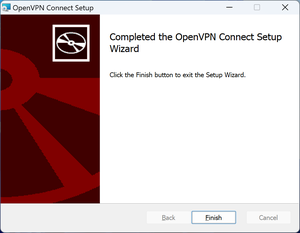 Setup Window of OpenVPN Completion